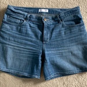Ann Taylor Loft Shorts